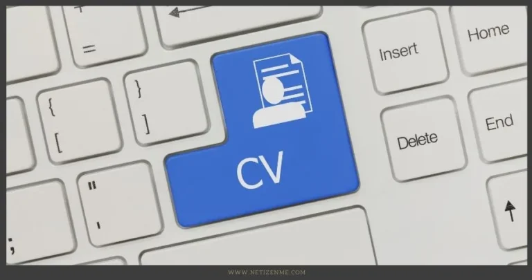 What are the main features of a good CV?
