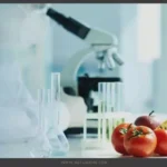 labeling of Genetically modified food products - Netizen Me