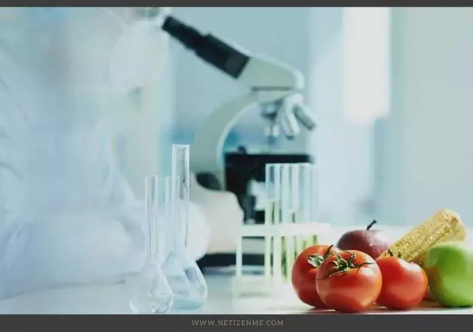 labeling of Genetically modified food products - Netizen Me