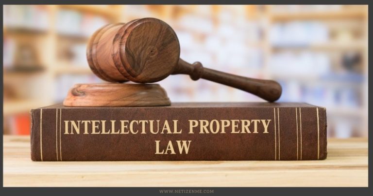 Everything You Need To Know About Intellectual Property Rights