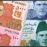 Fiscal Policies and Pakistan Economy NetizenMe online magazine