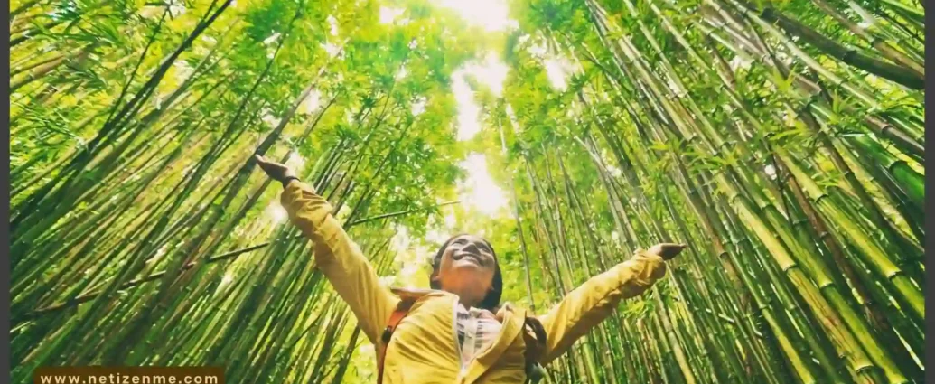 A picture of a happy girl standing in a green forest was set as a featured image for the article How to Support Environmentally Friendly and Sustainable Travel