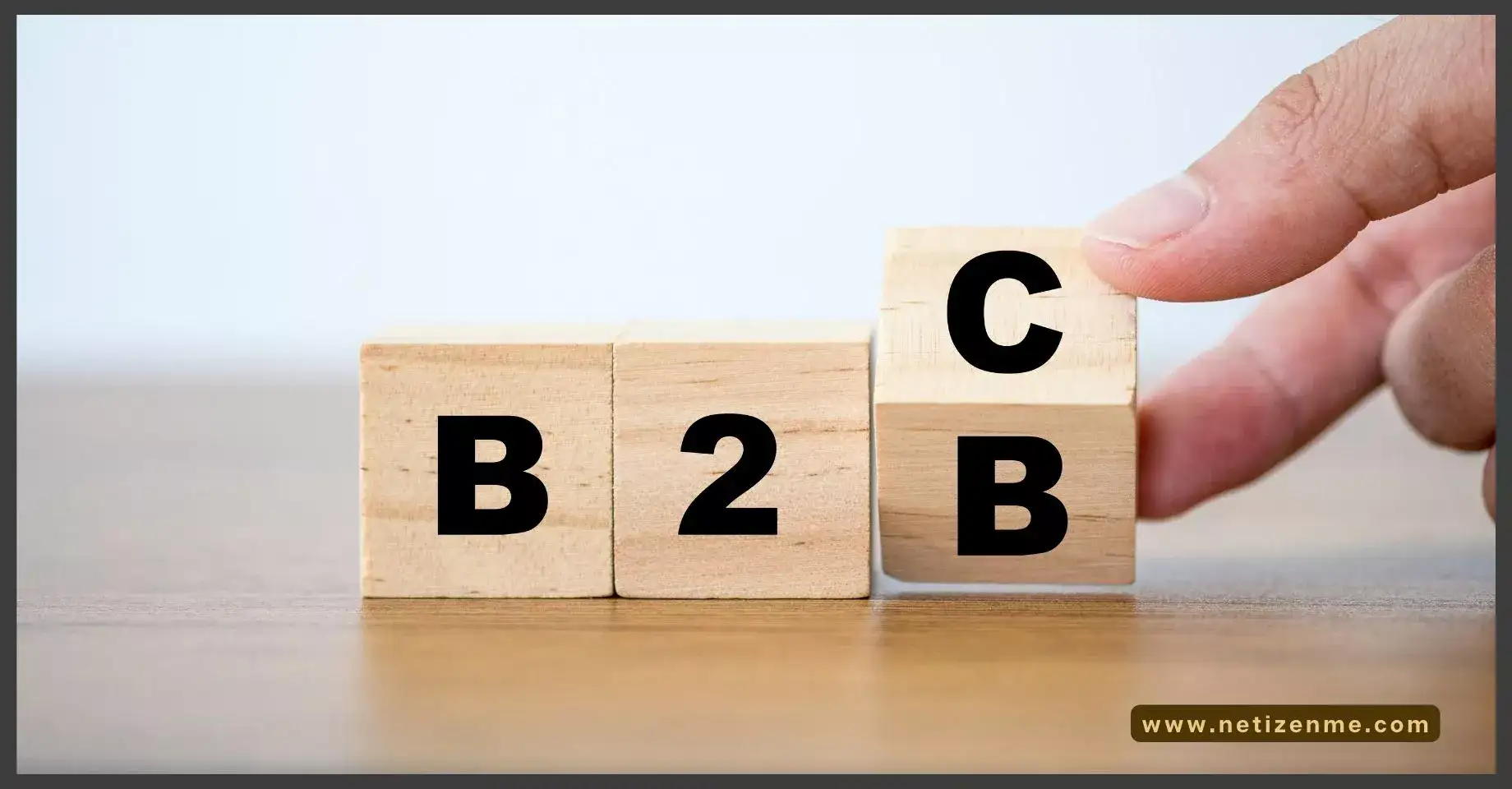 What is the Difference between B2B and B2C - Netizen Me